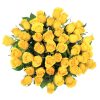 imageService (1)
