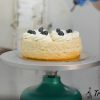 Blueberry Cheesecake