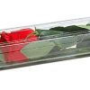 Rose in the box-1