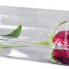 Rose in the box